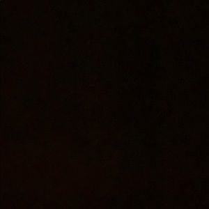 Meet your Posher, Ashton